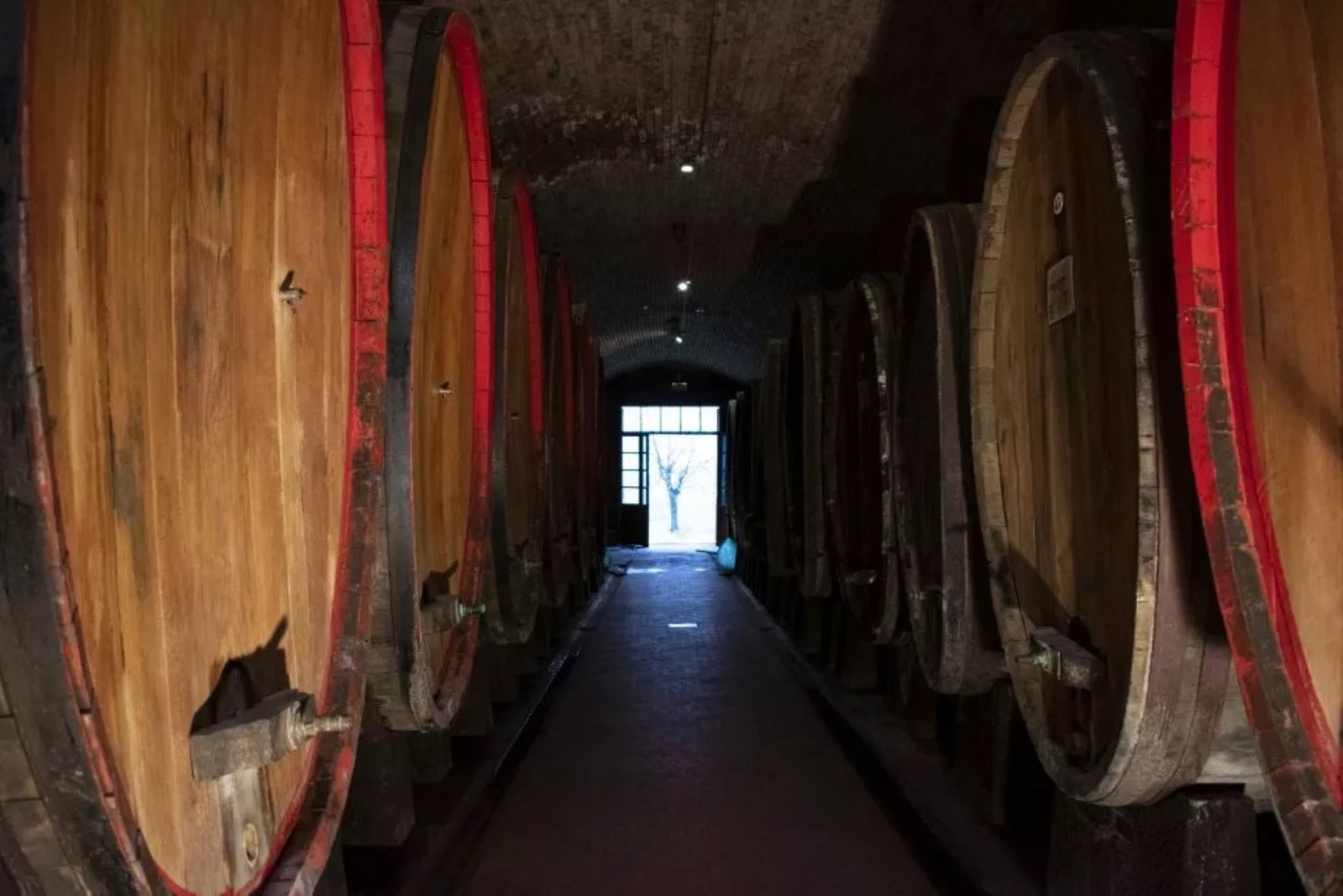 Image of Barrells 1024x683