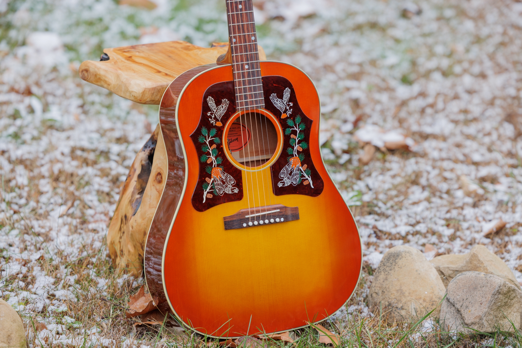 Image of Margo j 45 5