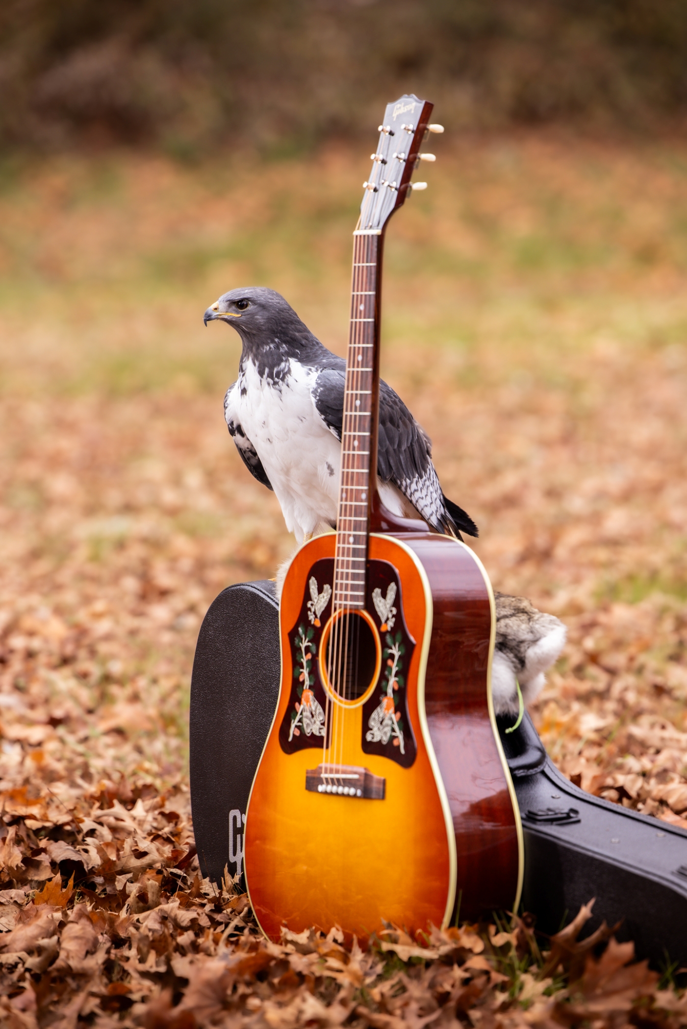 Image of Margo j 45 18