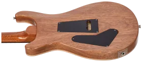 PRS Custom 24 Tiger Eye #1 8