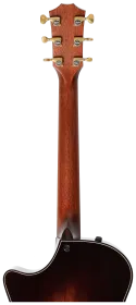 Taylor Builder's Edition 814ce Honduran Rosewood/Redwood 12