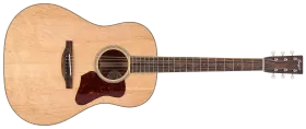 Bourgeois Guitars Banjo Killer 2