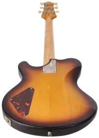 Nik Huber Piet P90-S 2 Tone Sunburst #55210 6