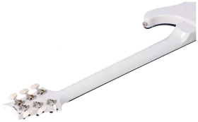 PRS Modern Eagle V River Blue Pearl #1 14