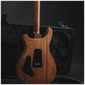 PRS Custom 24 Tiger Eye 10 Top #1 30