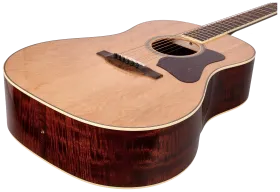 Bourgeois Guitars Banjo Killer 9