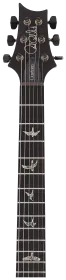 PRS LTD Custom 24 Wood Library Gray Black Fade 10Top # 11