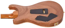 PRS Modern Eagle V Tiger Eye 10 Top #1 8
