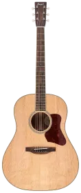 Bourgeois Guitars Banjo Killer 1