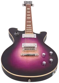 Wild Customs Baroness Purple Burst 3
