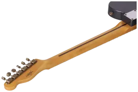 Fender Custom Shop 1959 Hot Rod Tele HS JRN ASH MN CFM Dealer Select #3 16